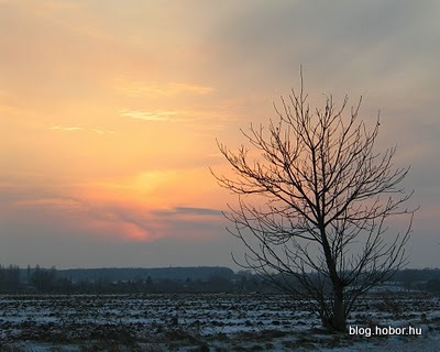 Near ZALAKAROS, Hungary