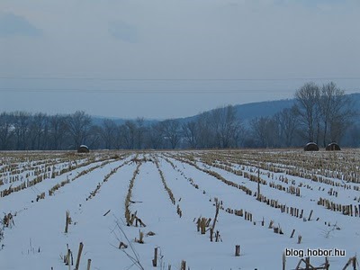 KISOROSZI, Hungary