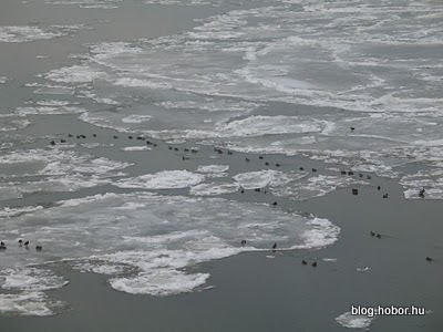 DANUBE (DUNA), Hungary - The next three pictures are showing how the ice hits the North Rail Bridge at Budapest.