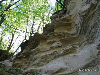 Gulch at NAGYBAKÓNAK, Hungary