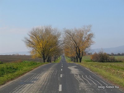 Near HAJMASKÉR, Hungary - This picture was taken two weeks later. Autumn is here.