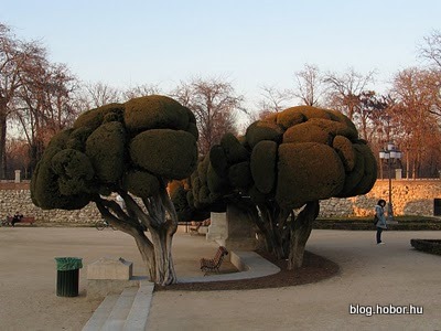 El Retiro Park, MADRID, Spain