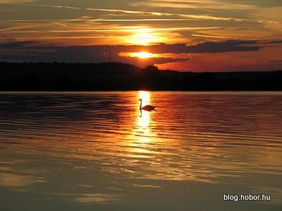 Sunset at K�NYAV�R ISLAND, (Kis-Balaton), Hungary