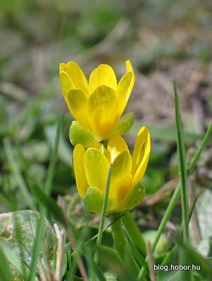 Spring is here