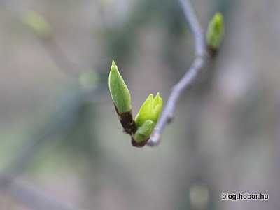 Spring is here