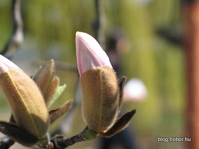 Spring is here