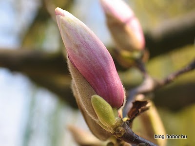Spring is here